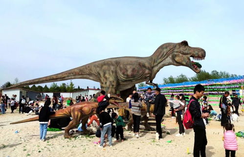 商丘古城旅游区再添新玩点 全新游乐园即将盛大开园，欢乐升级等你来探！
